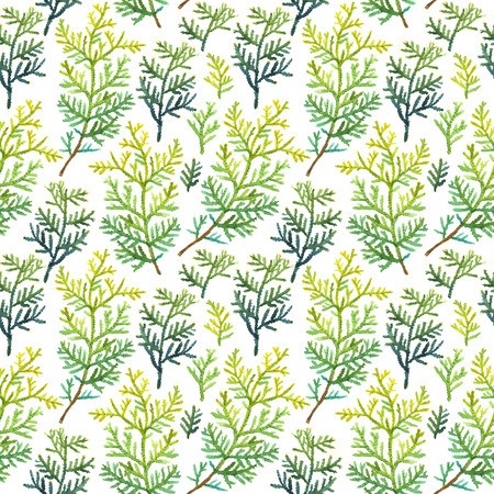 Natural pattern on a white background. Watercolor realistic plants.の写真素材