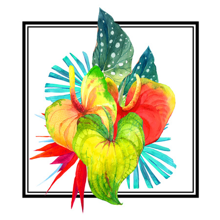 Beautiful pattern with begonia leaves, anthurium and strelitzia on a striped black and white background. Square frame. Hawaiian style.の写真素材