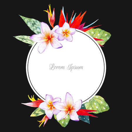 Floral illustration with tropical plants on black background. Composition with plumeria, strelitzia, palm and begonia leaves.の写真素材