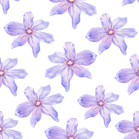 Floral purple pattern with watercolor realistic flowers on white background for your design and decor.の写真素材