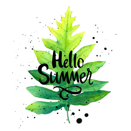 Summer poster with green leaf on white. Botanical illustration. Handwritten ink lettering.の写真素材