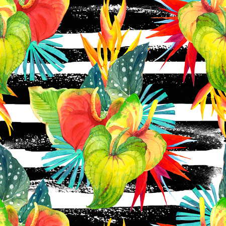 Beautiful pattern with begonia leaves, anthurium and strelitzia oon a striped black and white background.の写真素材