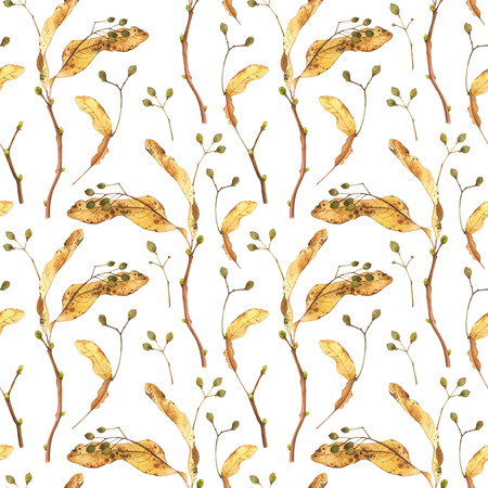 Nature pattern on a white background. Watercolor realistic plants.の写真素材