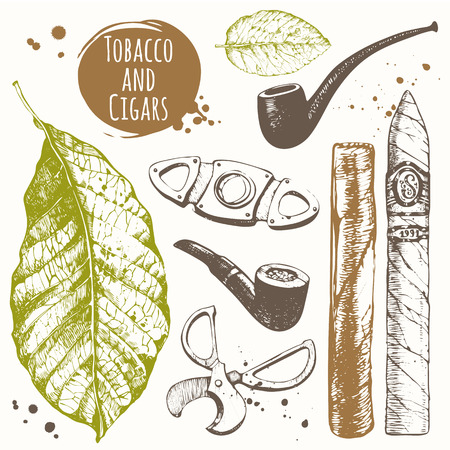 Vector illustration with cigars, pipes, guillotines for cigars, leaf tobacco. Classical smoking set.のイラスト素材