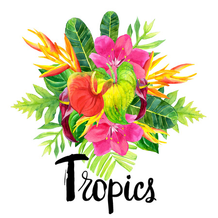 Floral illustration with tropical flowers and plants on white background. Composition with palm leaves, anthurium and strelitzia.の写真素材
