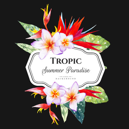 Floral illustration with tropical plants on black background. Composition with plumeria, strelitzia, palm and begonia leaves.の写真素材