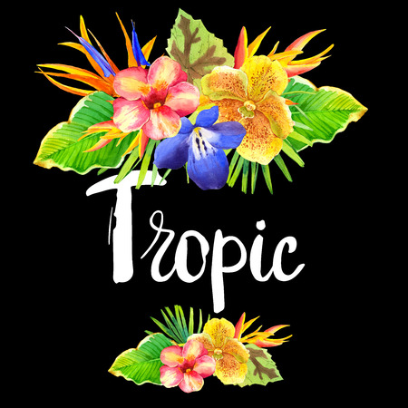 Floral illustration with tropical flowers and plants on black background. Composition with palm leaves, orchid, lily and strelitzia.の写真素材