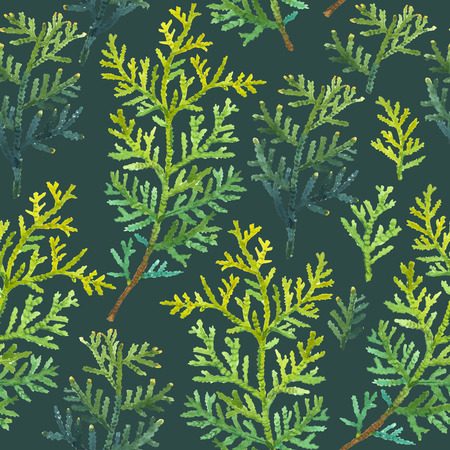 Natural pattern on a dark green background. Watercolor realistic plants.の写真素材