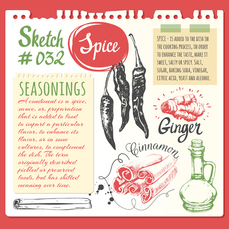 Vector illustration with sketch of cinnamon, pepper, ginger, oil.のイラスト素材