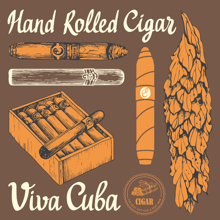 Vector illustration with classical smokeking set. Bunch of tobacco box, hand rolled cigars, leaf in sketch style. Best cuban quality.のイラスト素材