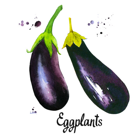 Watercolor vegetables. Fresh farm food. Set of different kinds of eggplants. Simple painting sketch. Violet set.の写真素材