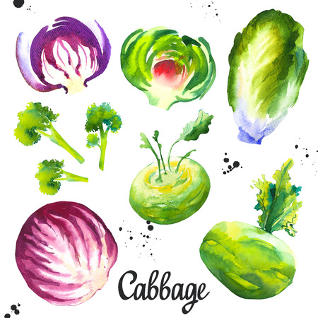 Watercolor illustration with farm grown illustrations. Vegetables set: cabbage, cauliflower, broccoli, cabbage, artichoke. Fresh organic food.の写真素材