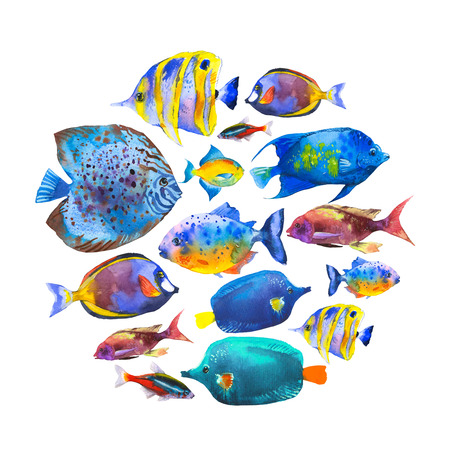 Round composition with tropical fish. Watercolor illustration with hand drawn aquarium exotic fish on white background.の写真素材