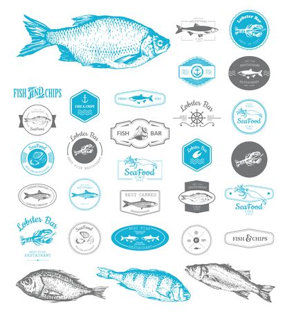 Vector Illustration for fish restaurant or fish market. Designs set for fish restaurant or bar with a picture of the fish. Blue sings on white background.のイラスト素材
