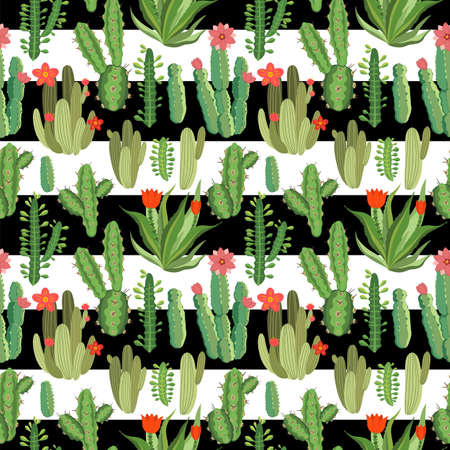 botanical illustration with Peruvian cactus. Vector seamless pattern on black and white striped...