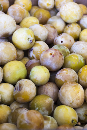 Yellow plum isolatedの写真素材