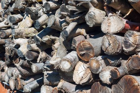 Close-up of small dried wooden logs stacked for firewood or barbecueの写真素材