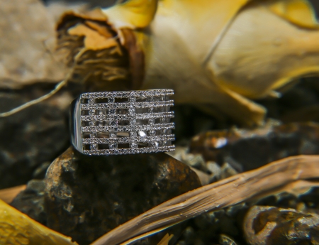 jewellery photographyの写真素材