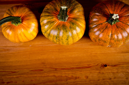 ripe pumpkinsの写真素材