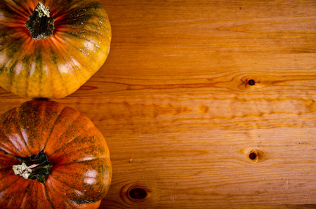 ripe pumpkinsの写真素材