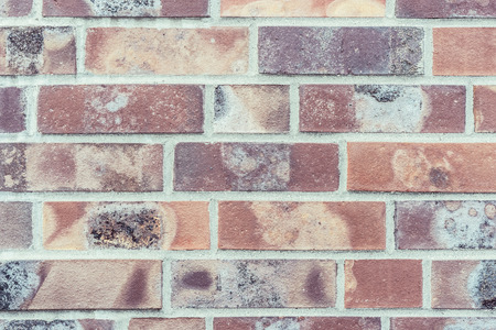 Wall background with old bricksの写真素材
