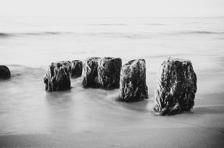 Black and white landscape Polish sea of breakwaters and sand dunes.の写真素材