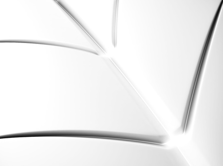Elegant white background with leaf shape linesの写真素材