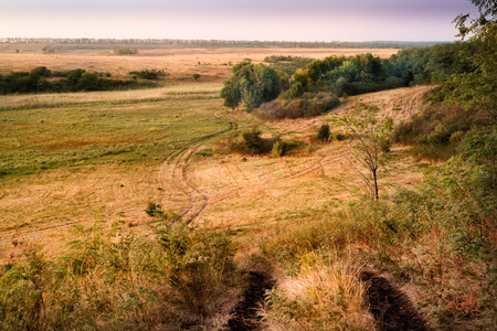 steppe hills covered with grass clippingsの写真素材