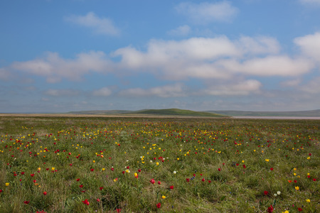 Russia. The movement of clouds in the spring in the steppe part of the Crimea peninsula at Cape Opuk.の写真素材