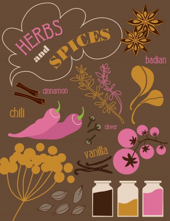 herbs and spices card. vector illustrationのイラスト素材