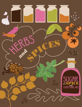 herbs and spices card. vector illustrationのイラスト素材