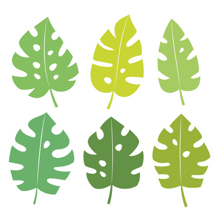 Set of tropical leaves vector illustration.のイラスト素材