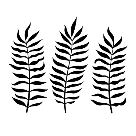 Set of tropical leaves vector illustration.のイラスト素材