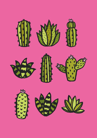 Cactus and succulent set. Vector illustration.のイラスト素材