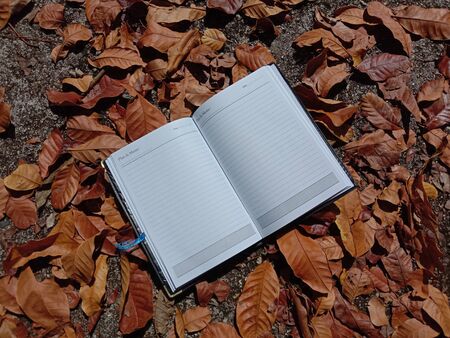 Book on fallen leavesの写真素材