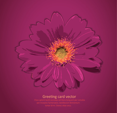 Flower bloom purple background greeting card vectorのイラスト素材