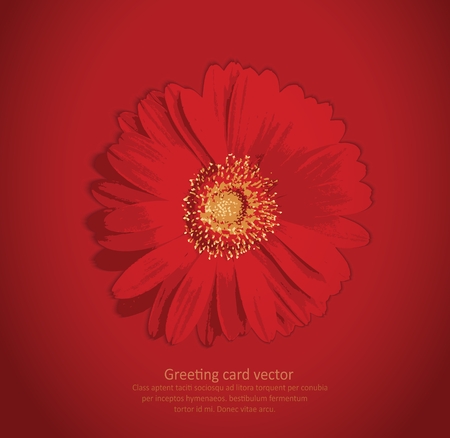 Flower bloom red background greeting cardのイラスト素材
