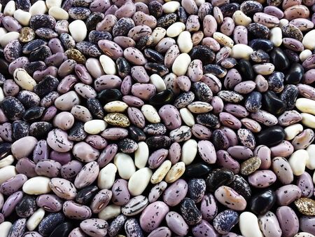 Colorful and spotted beans as background