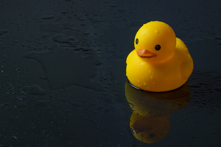 Yellow rubber duck on black table.の写真素材