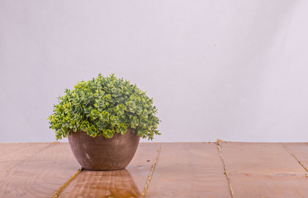 Tree that decorate the room. Pot fake plant isolated on whiteの写真素材