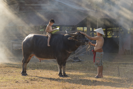 Asian local boy reading book on buffalo with father on farm backgroundの写真素材
