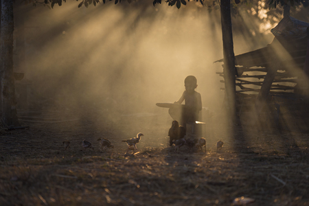 As an boy feeding chickensの写真素材
