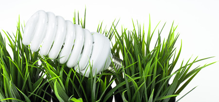 Energy saving fluorescent light bulb in green grass isolated on white backgroundの写真素材