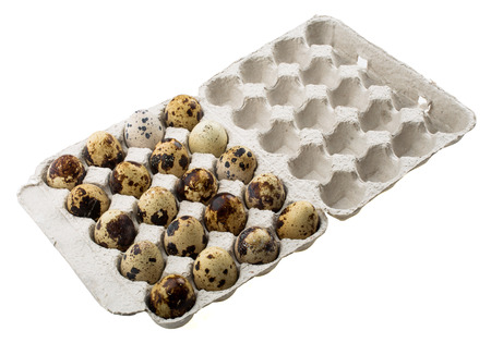quail eggs in carton box isolated on white backgroundの写真素材