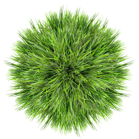 Green grass ball isolated on white background.の写真素材