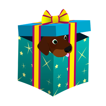 Puppy in a gift box.のイラスト素材