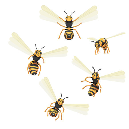 Set of attacking wasps. Wasps in flight preparing to sting on a white background.のイラスト素材