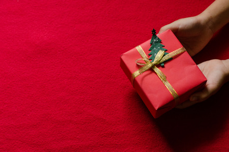 Kids Hands Holding Paper Gift Box on Red Background.