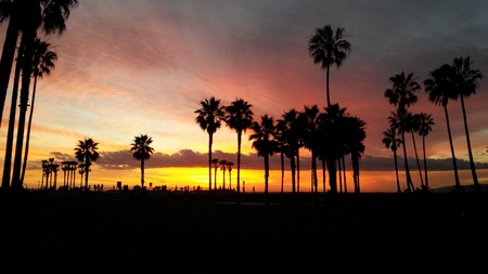 Venice Beach Eveningの写真素材