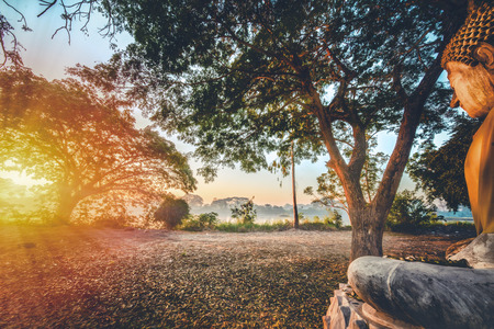 landscape scenery of Buddha statue near river bank during sunrisingの写真素材